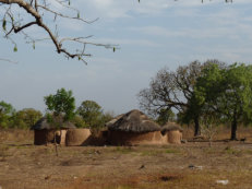 Village des Dagomba au nord du Ghana